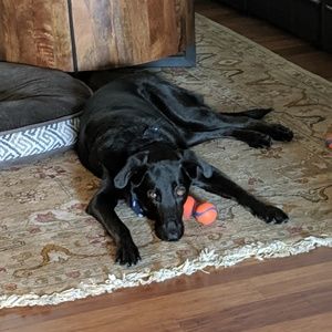 Meet your Posher, Terry